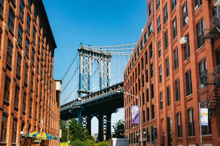 From Manhattan: Full-Day NYC Boroughs and Coney Island Tour - Why this boroughs tour is useful in New York