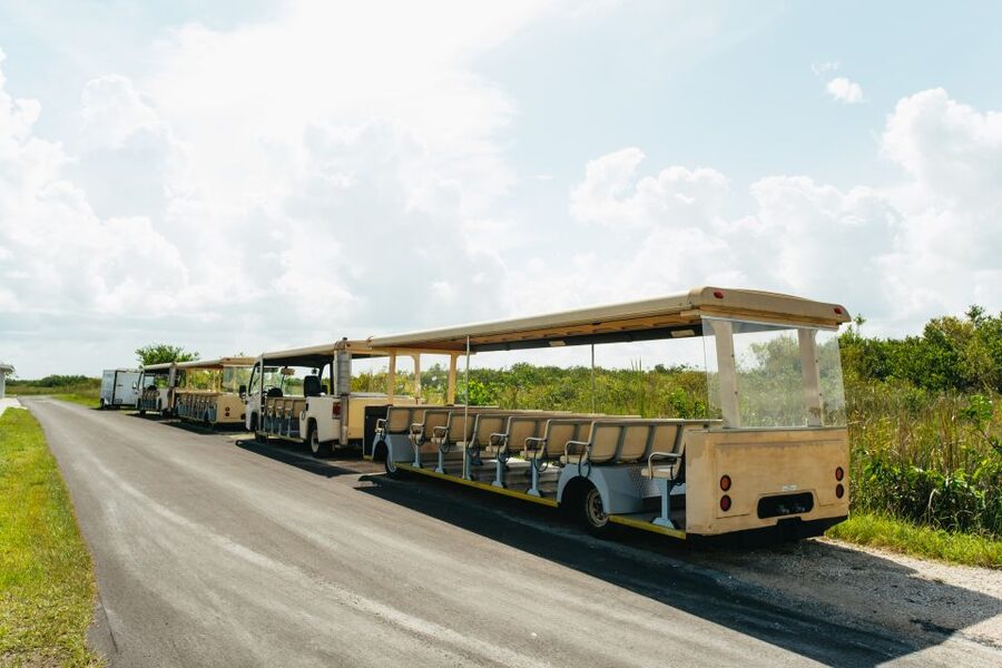 From Miami: Everglades Airboat Ride and Nature Walk - Key points to know before you book