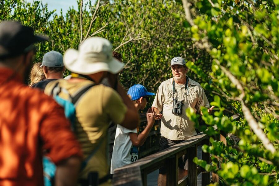 From Miami: Everglades Airboat Ride and Nature Walk - Walking through the hardwood hammock