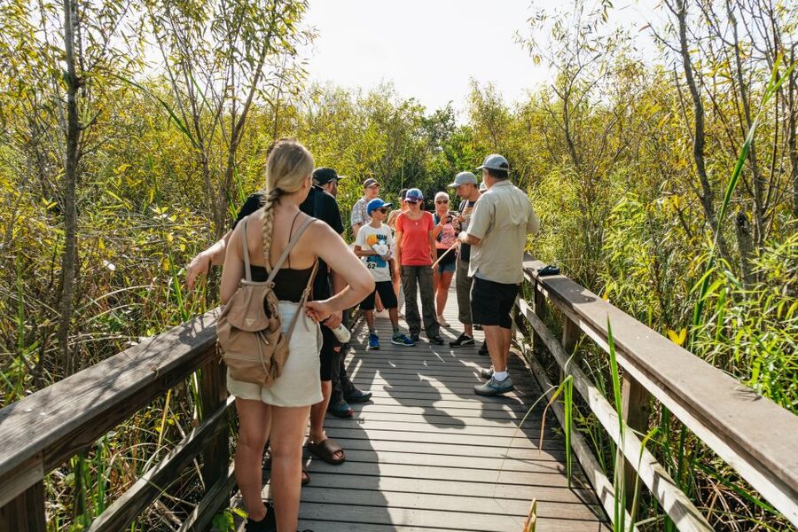 From Miami: Everglades Airboat Ride and Nature Walk - The airboat ride across open wetlands