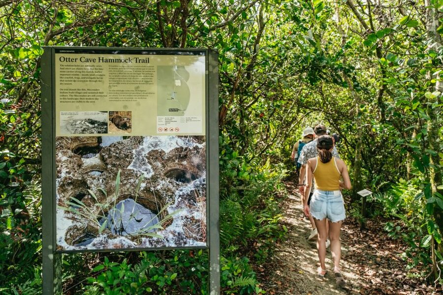 From Miami: Everglades Airboat Ride and Nature Walk - Guides make the difference