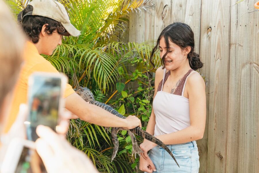 From Miami: Everglades Airboat, Wildlife Show & Bus Transfer - Key points at a glance