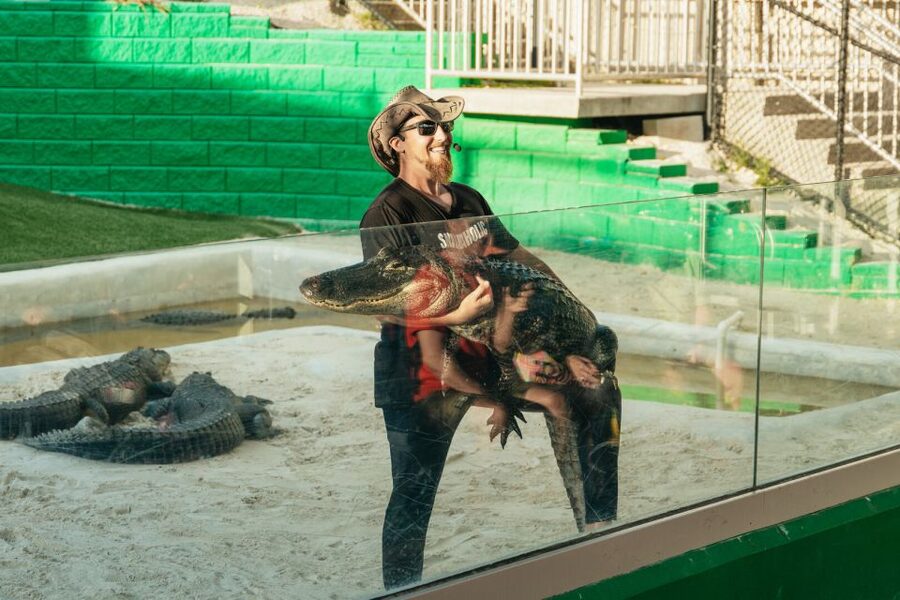 From Miami: Everglades Airboat, Wildlife Show & Bus Transfer - How the five-hour schedule really works