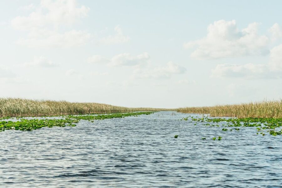 From Miami: Everglades Airboat, Wildlife Show & Bus Transfer - Language, guides, and practical details