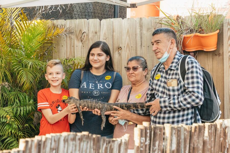 From Miami: Everglades Airboat, Wildlife Show & Bus Transfer - Who should book this Everglades trip?