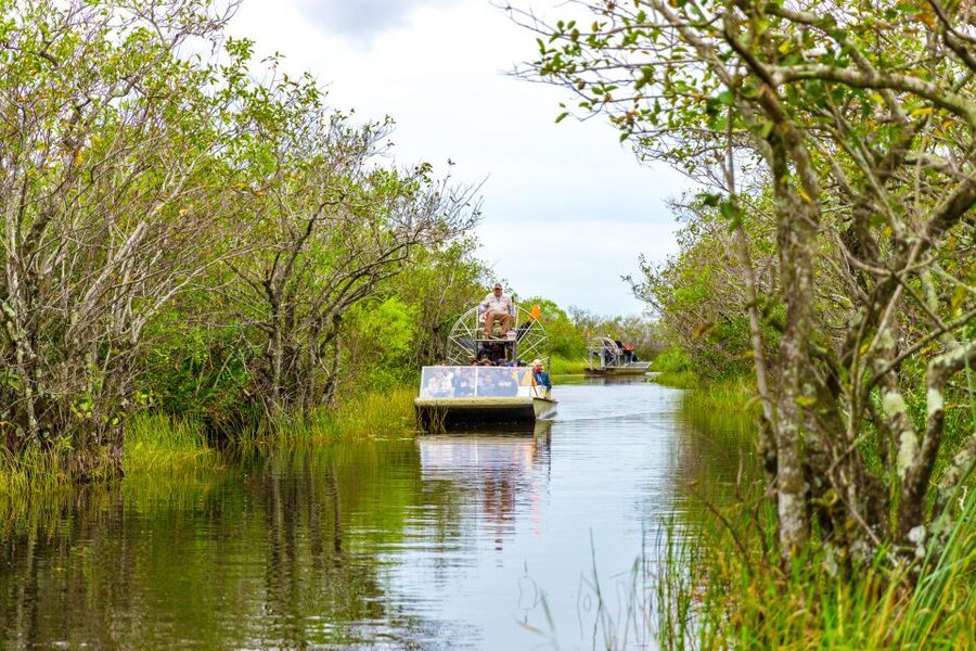 From Miami: Everglades Wildlife Show, Airboat & Bus Transfer - Biscayne Bay and Millionaire’s Row