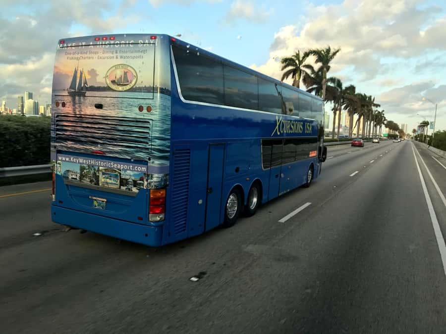 From Miami: Key West Day Tour by Motor Coach Bus - Six hours to create your own Key West day