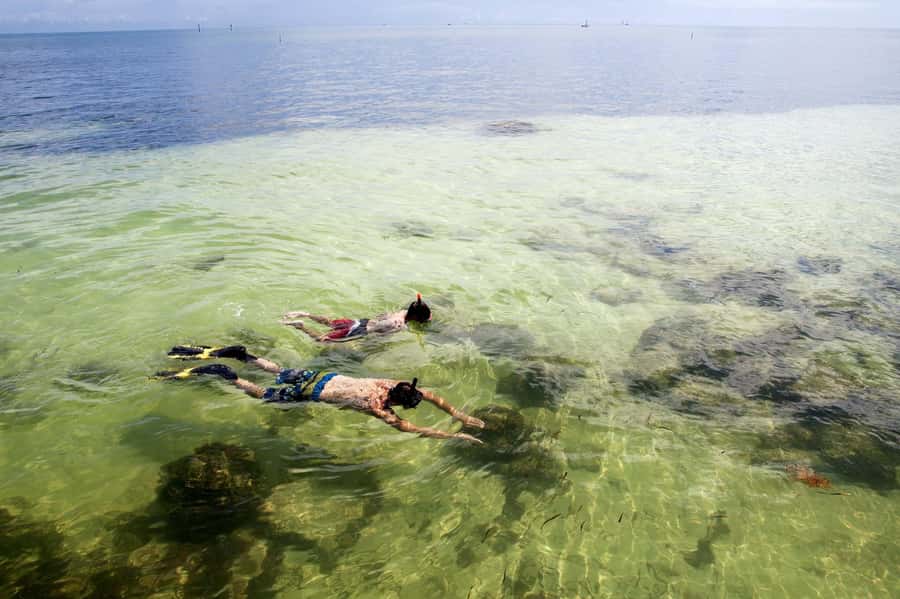 From Miami: Key West Day Tour by Motor Coach Bus - Museums, Ripley’s, and paid attractions