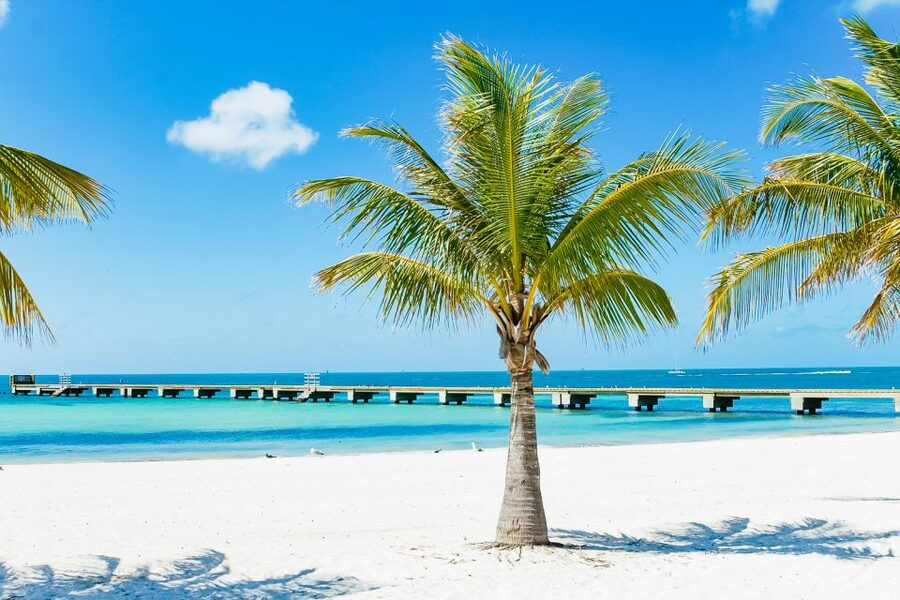 From Miami: Key West Day Trip - Four hours from Miami to the Florida Keys