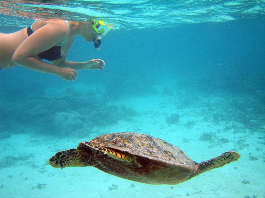 From Miami: Key West Day Trip - Free time for Key West’s shops, food, and streets