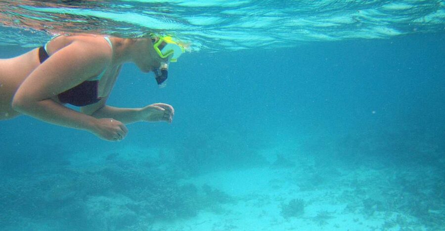 From Miami: Key West Day Trip - Optional snorkeling on the Florida reef