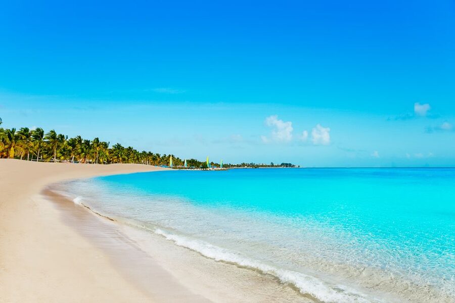 From Miami: Key West Day Trip - The coach, timing, and small practical details