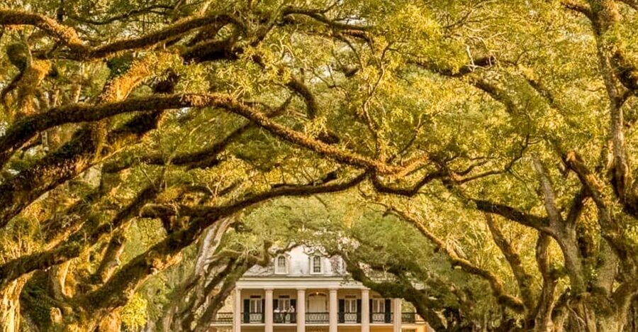 From New Orleans: Oak Alley Plantation Tour - A guided look inside the Greek Revival mansion