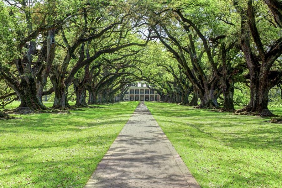 From New Orleans: Oak Alley Plantation Tour - Antique farm machinery and the working property