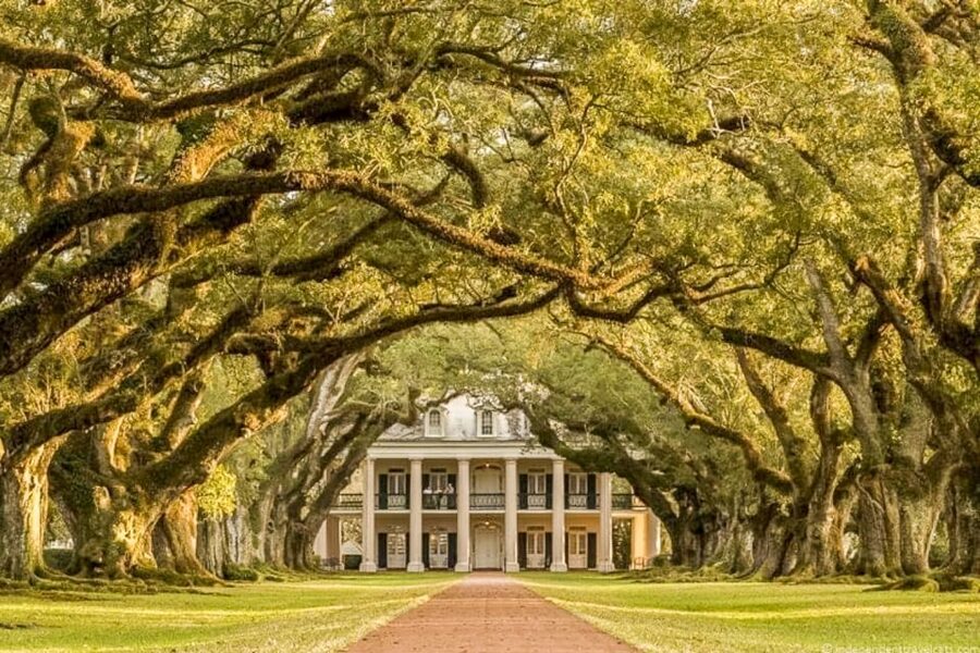 From New Orleans: Oak Alley Plantation Tour - Two hours on site, and how to use it well