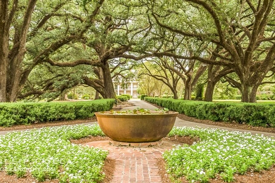 From New Orleans: Oak Alley Plantation Tour - The 70 to 75 minute coach ride from New Orleans