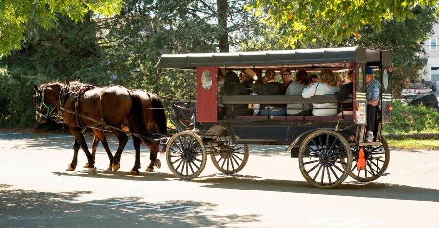 From NYC: Day Trip to Philadelphia and Amish Country - Key points to know before booking