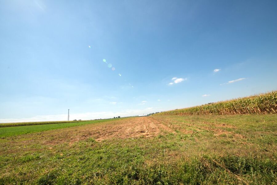 From NYC: Day Trip to Philadelphia and Amish Country - The buggy ride through farm country