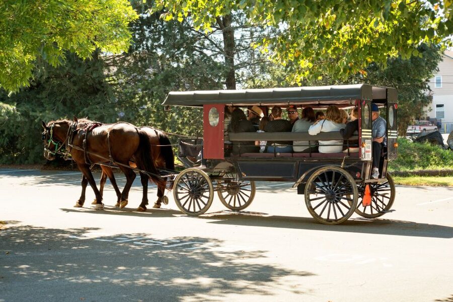 From NYC: Day Trip to Philadelphia and Amish Country - What the $149 price really covers