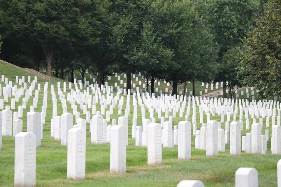 From NYC: Guided Day Trip to Washington DC by Van or Bus - Why this New York to Washington DC trip works