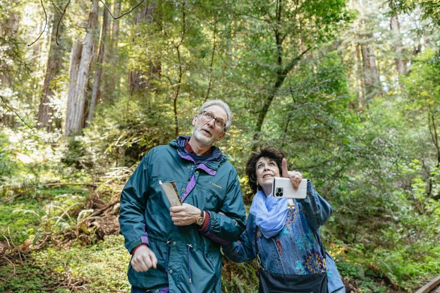 From San Francisco: Guided Muir Woods Tour - Useful planning details