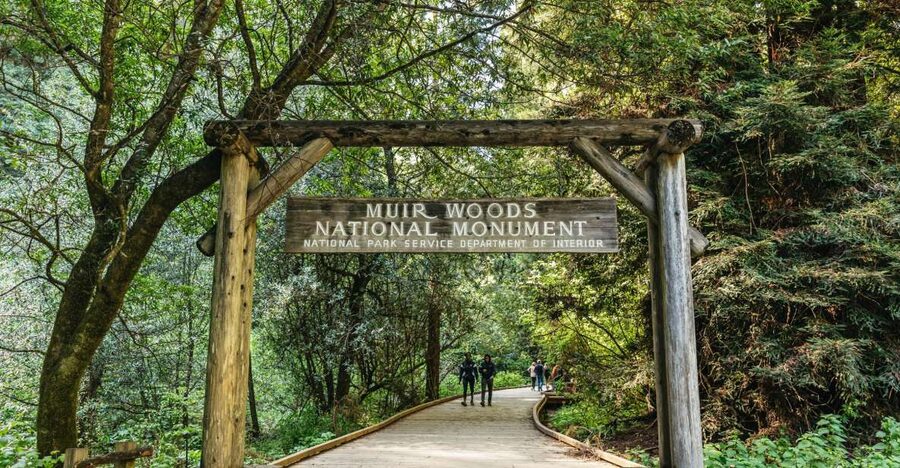 From San Francisco: Guided Muir Woods Tour - Why this half-day trip works so well