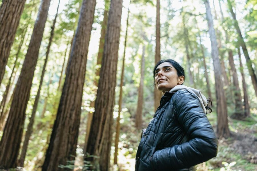 From San Francisco: Guided Muir Woods Tour - Starting at Fisherman’s Wharf