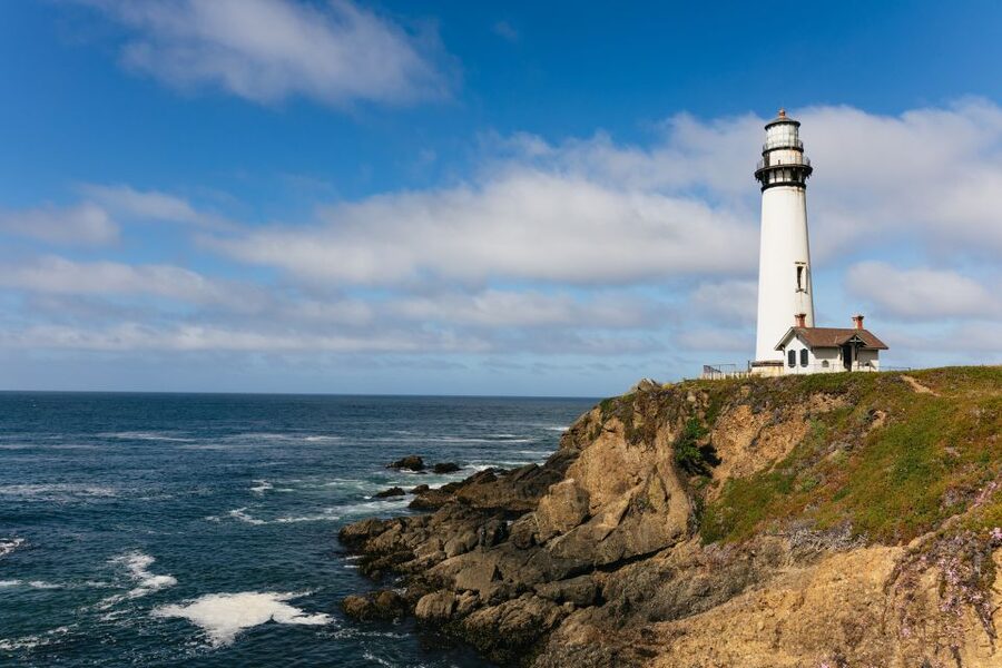 From San Francisco: Monterey and Carmel Day Tour - Who should book this tour