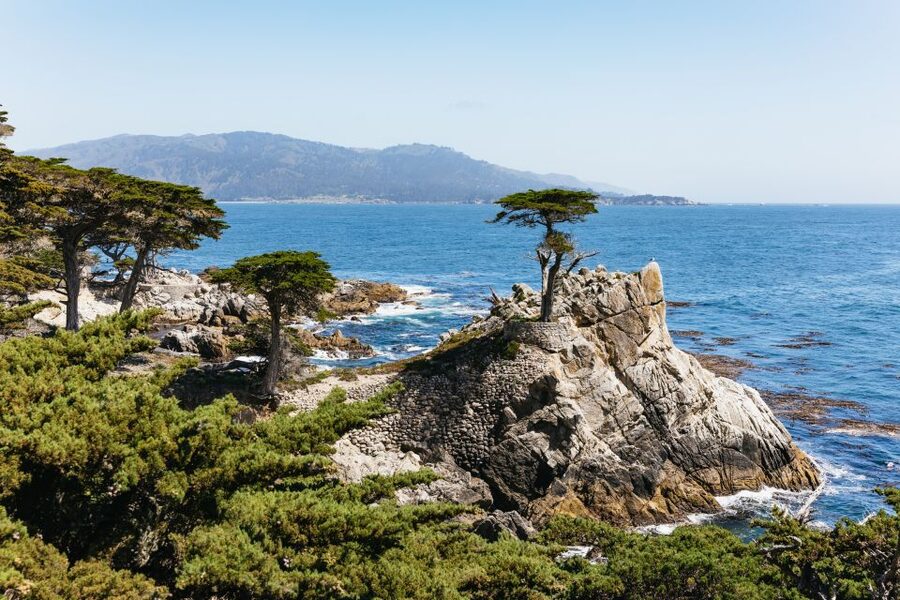 From San Francisco: Monterey and Carmel Day Tour - Pigeon Point Lighthouse and Davenport break up the ride