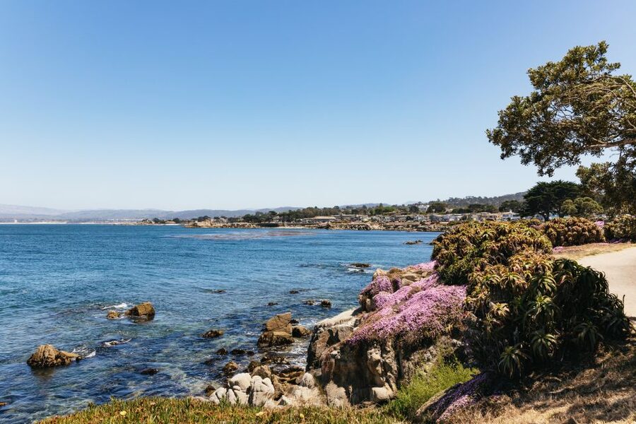 From San Francisco: Monterey and Carmel Day Tour - Guides, comfort, and the human side of the day