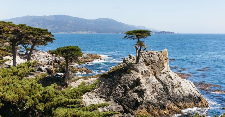 From San Francisco: Monterey and Carmel Day Tour - Starting in San Francisco: check the pickup carefully