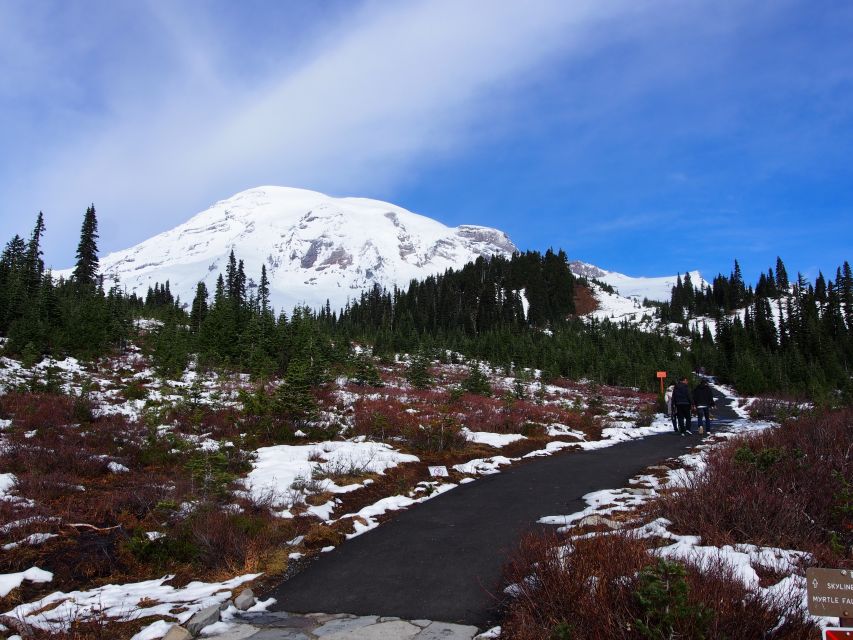 From Seattle: Mount Rainier National Park Guided Tour - Leaving Seattle before the day gets busy