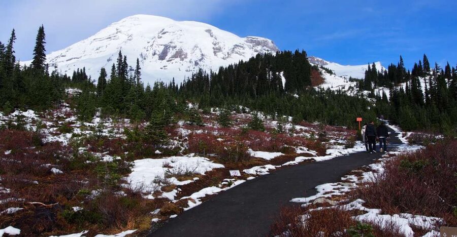 From Seattle: Mount Rainier National Park Guided Tour - Visitor Center time and the park’s natural story
