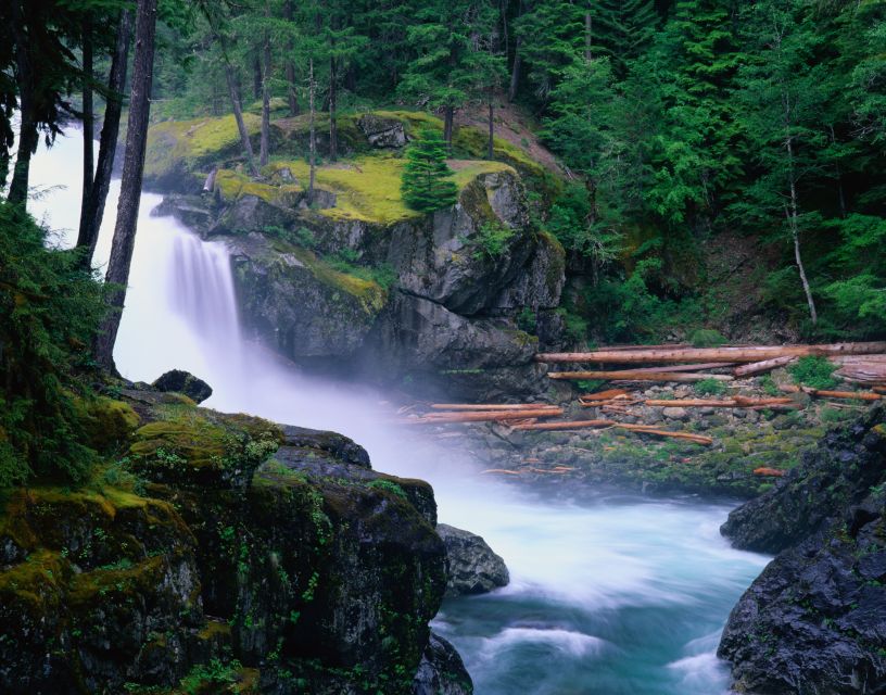 From Seattle: Mount Rainier National Park Guided Tour - What to pack for a full day outside
