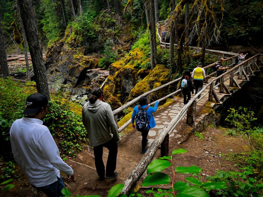 From Seattle: Mount Rainier National Park Guided Tour - Forests, waterfalls, and the first park stops