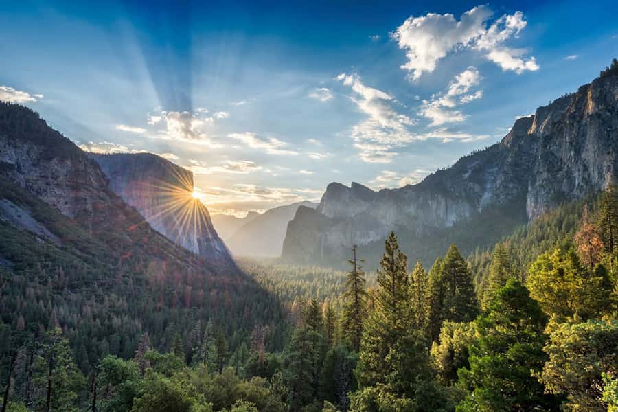 From SF: Yosemite Day Trip with Giant Sequoias Hike & Pickup - Valley View and the best photo opportunities