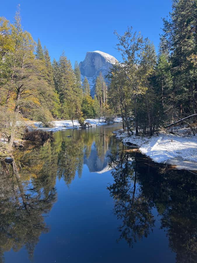 From SF: Yosemite Day Trip with Giant Sequoias Hike & Pickup - The Tuolumne Grove sequoia hike