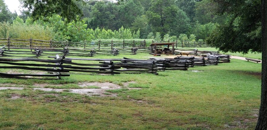 From Washington DC: Old Town Alexandria & Mount Vernon Tour - Lunch, shopping, and the limits of the schedule