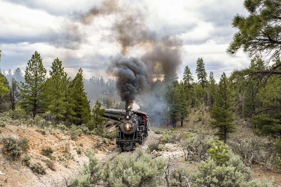 From Williams: Grand Canyon Railway Round-Trip Train Ticket - Accessibility and practical planning