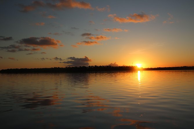Full-Day Kayak Adventure in the Everglades - Wildlife watching without guarantees