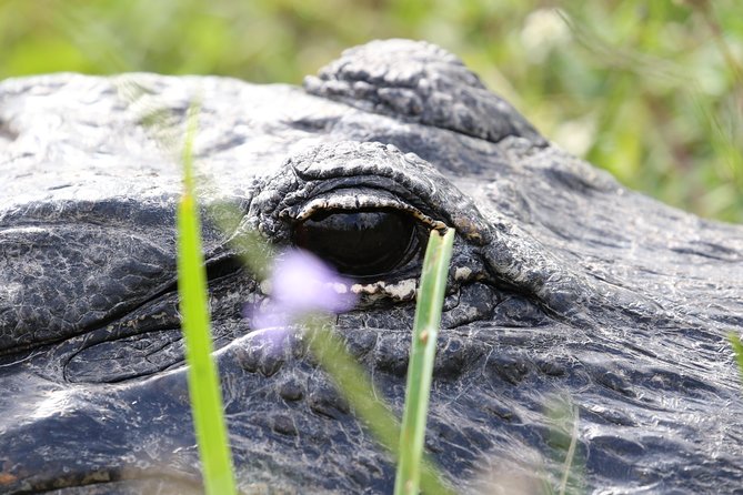 Full-Day Kayak Adventure in the Everglades - Kayaking freshwater and saltwater routes