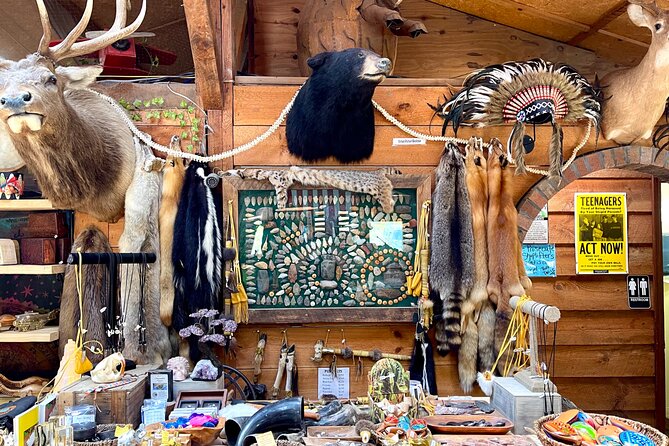 Gem Mining and Goat Farm Walking Tour in Hendersonville - Practical details that affect your visit
