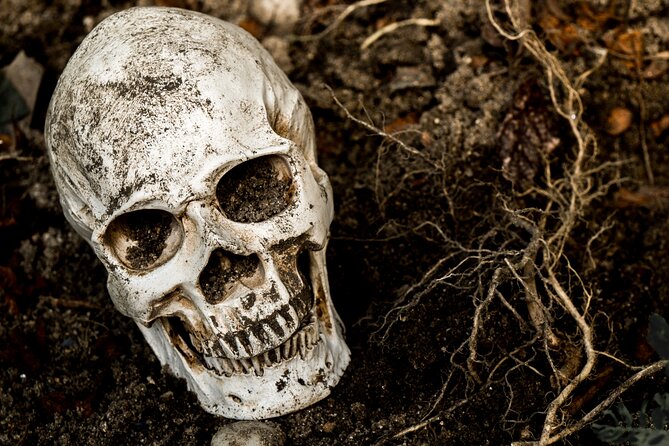 Gettysburg: Ghost Hunt Tour with Ghost Hunting Equipment - How much walking should you expect?