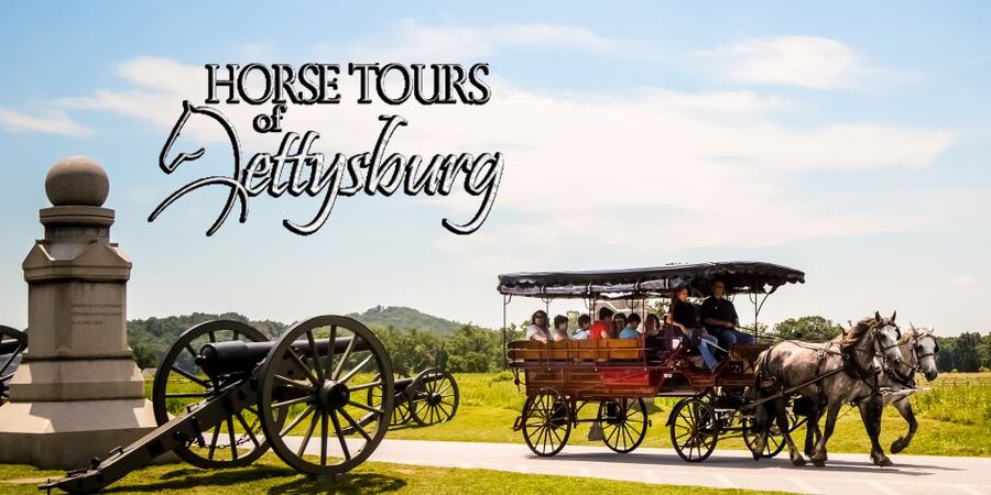 Gettysburg: Horse-Drawn Carriage Battlefield Tour - Meeting the horses and settling into the carriage