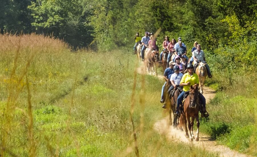 Gettysburg: Licensed Guided Battlefield Horseback Tour - Key points to know before you ride