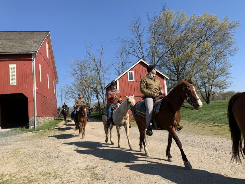 Gettysburg: Licensed Guided Battlefield Horseback Tour - Crossing Emmitsburg Road to the Union side