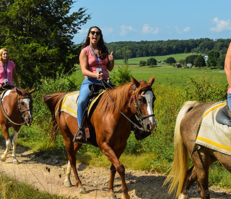 Gettysburg: Licensed Guided Battlefield Horseback Tour - Trostle Farm and the cannonball in the barn
