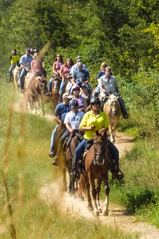 Gettysburg: Licensed Guided Battlefield Horseback Tour - Meeting the horses at McMillan Woods Campground