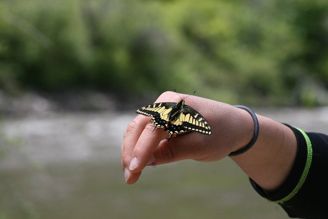 Glenwood Springs Half-Day Rafting Trip - Family suitability and the cold-water question