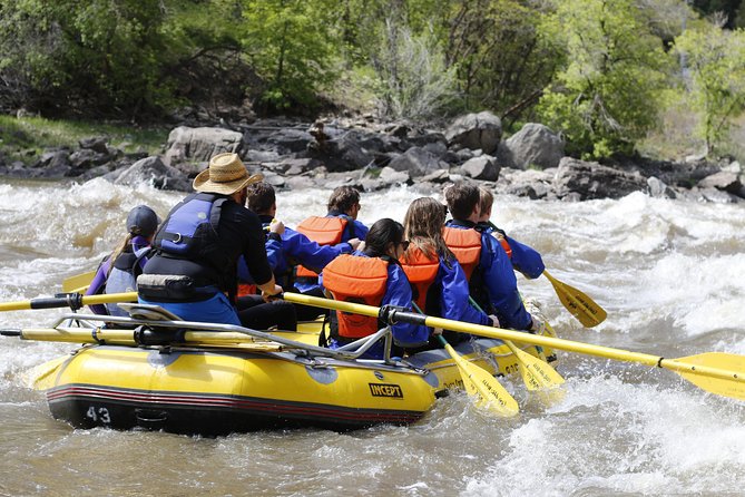 Glenwood Springs Half-Day Rafting Trip - Group size and the feel of the operation